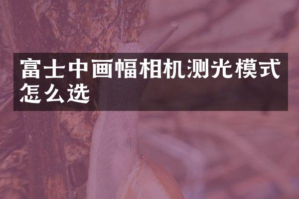 富士中画幅相机测光模式怎么选