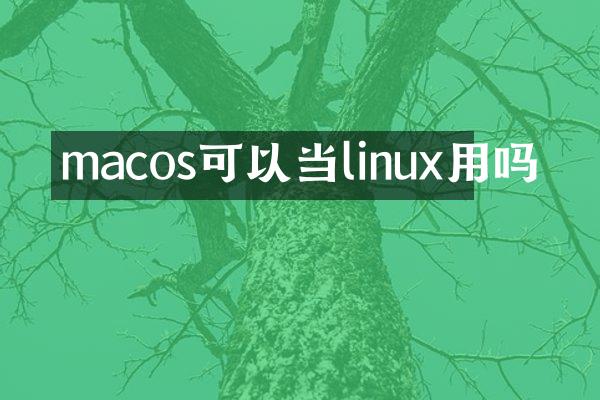 macos可以当linux用吗