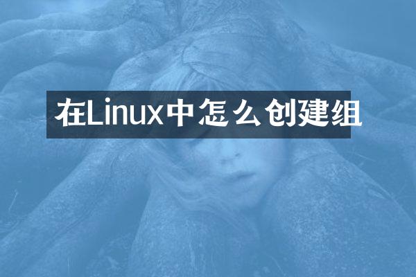 在Linux中怎么创建组