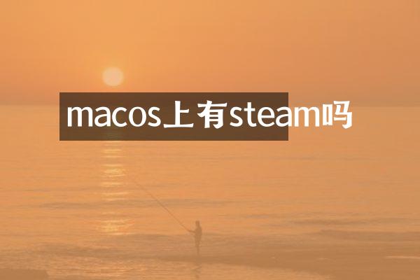 macos上有steam吗