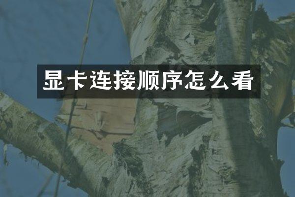 显卡连接顺序怎么看