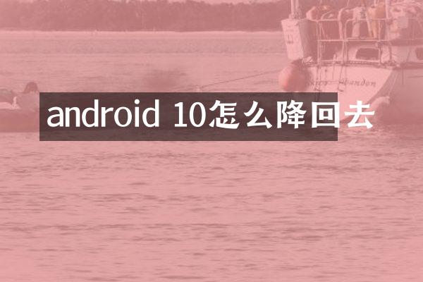 android 10怎么降回去