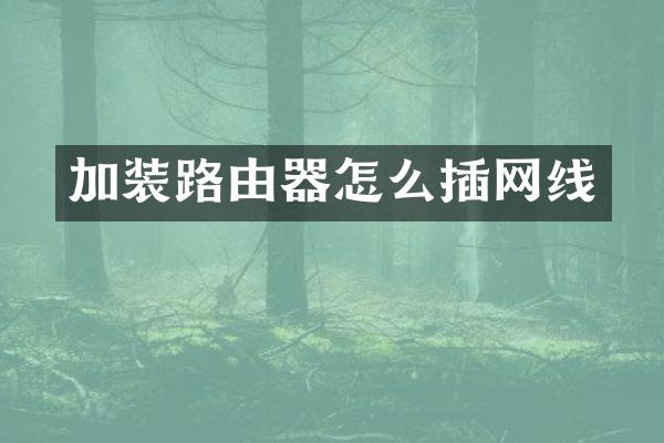 加装路由器怎么插网线