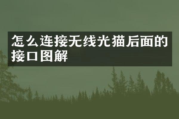 怎么连接无线光猫后面的接口图解