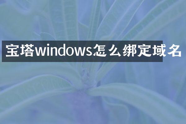 宝塔windows怎么绑定域名