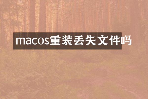 macos重装丢失文件吗