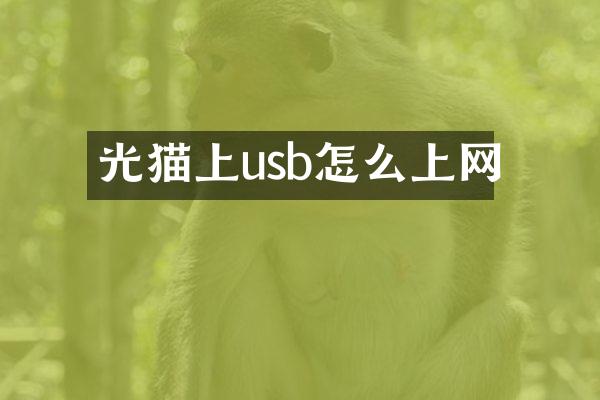 光猫上usb怎么上网