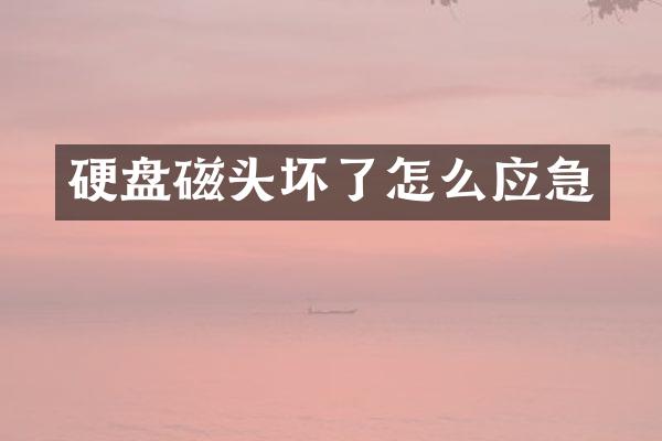 硬盘磁头坏了怎么应急