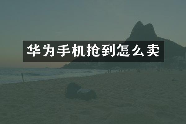 华为手机抢到怎么卖
