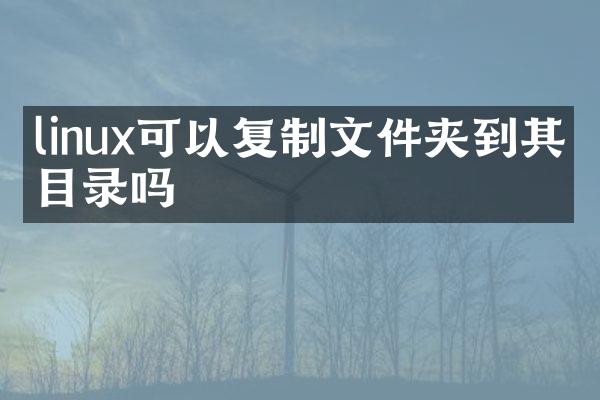 linux可以复制文件夹到其他目录吗
