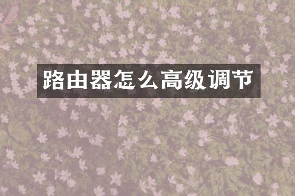 路由器怎么高级调节