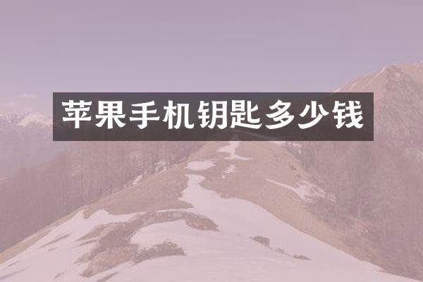 苹果手机钥匙多少钱
