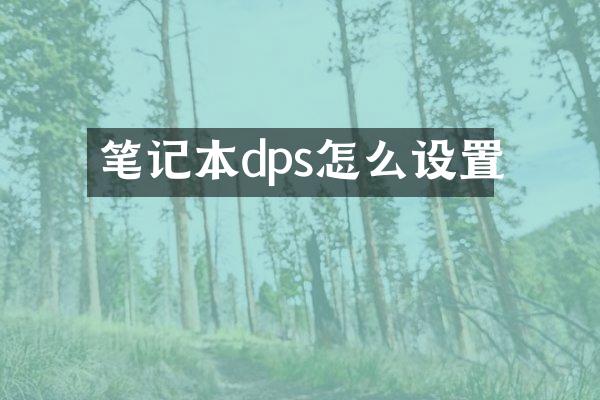笔记本dps怎么设置