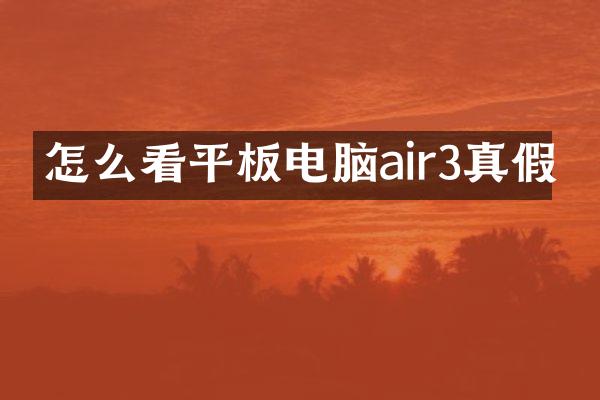 怎么看平板电脑air3真假