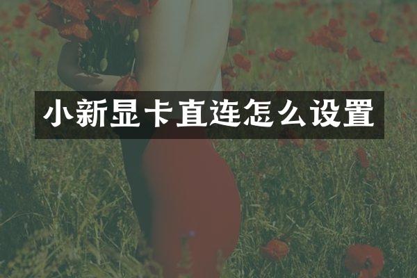 小新显卡直连怎么设置