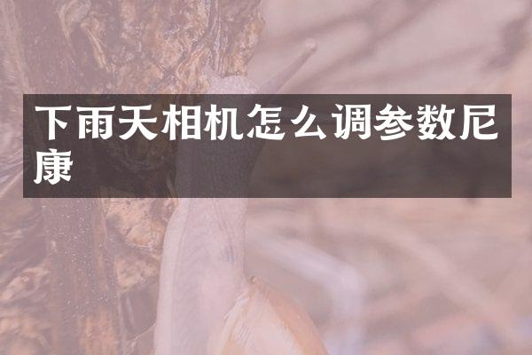 下雨天相机怎么调参数尼康