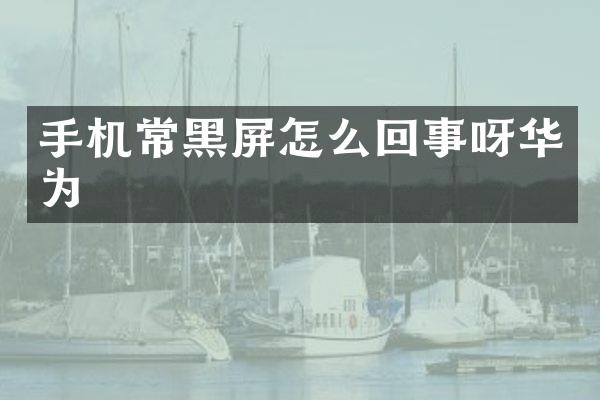手机常黑屏怎么回事呀华为