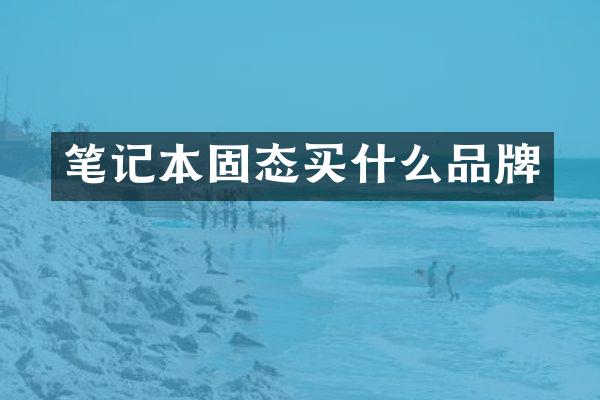 笔记本固态品牌