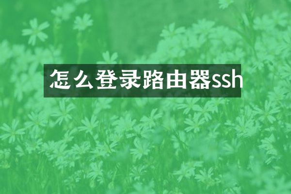 怎么登录路由器ssh