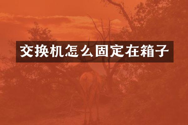 交换机怎么固定在箱子