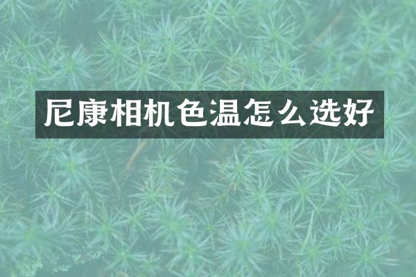 尼康相机色温怎么选好