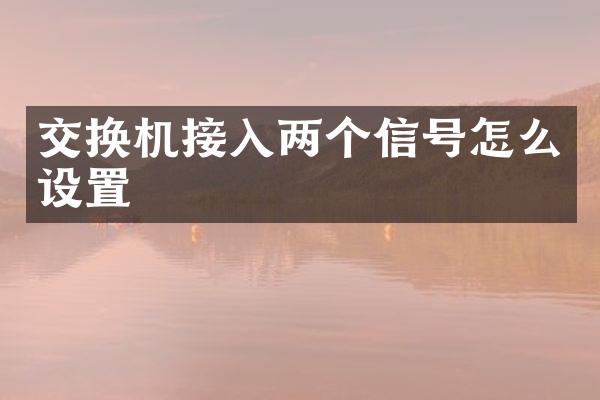交换机接入两个信号怎么设置