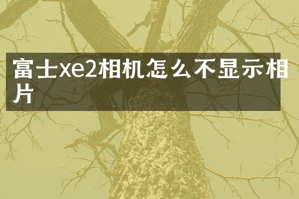 富士xe2相机怎么不显示相片