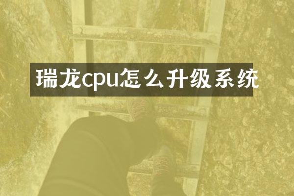 瑞龙cpu怎么升级系统