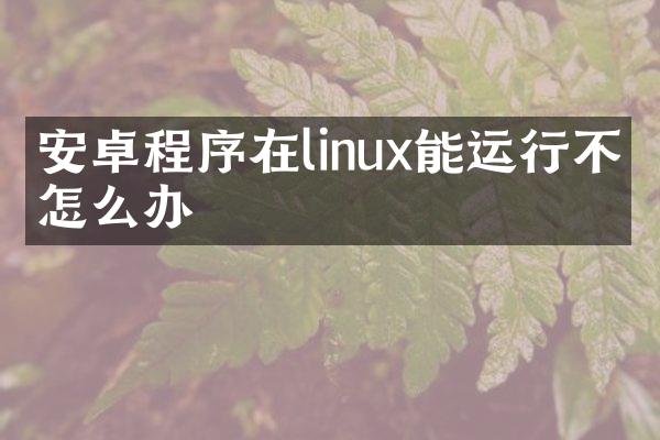 安卓程序在linux能运行不了怎么办