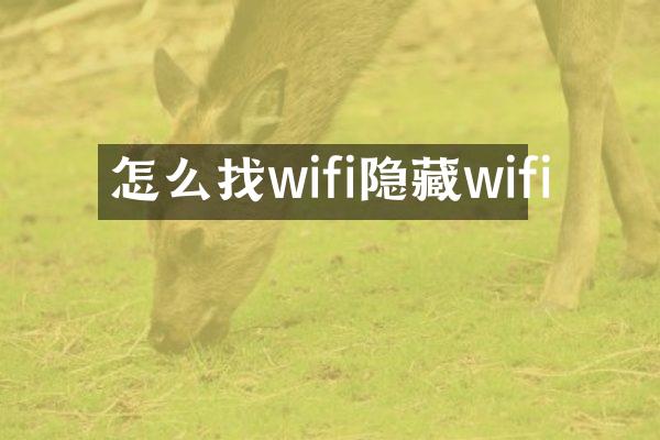 怎么找wifi隐藏wifi