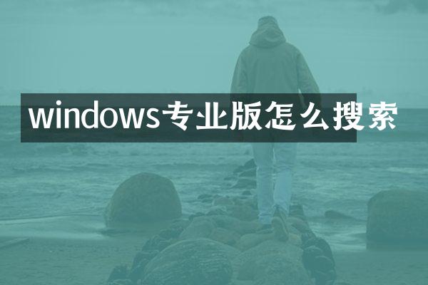 windows专业版怎么搜索