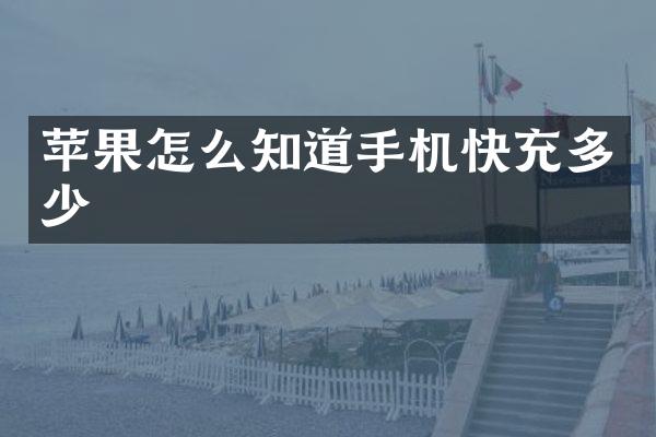 苹果怎么知道手机快充多少