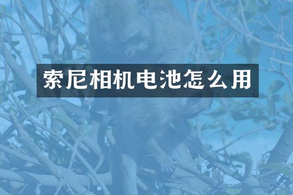 索尼相机电池怎么用