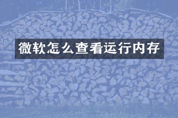 微软怎么查看运行内存