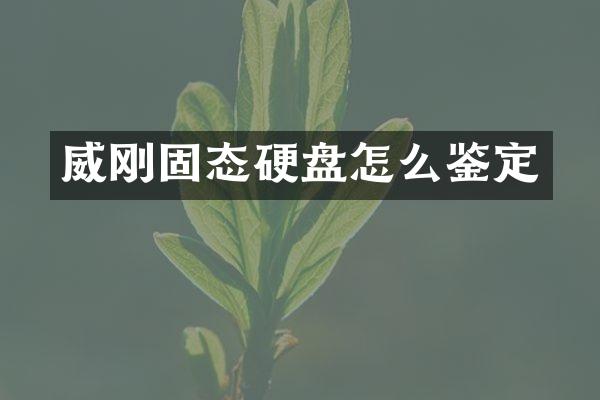 威刚固态硬盘怎么鉴定
