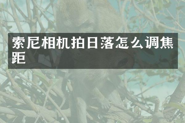 索尼相机拍日落怎么调焦距