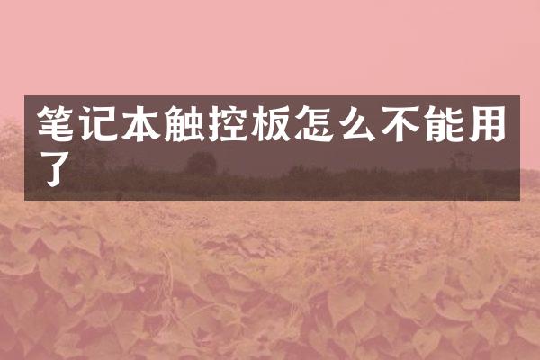 笔记本触控板怎么不能用了