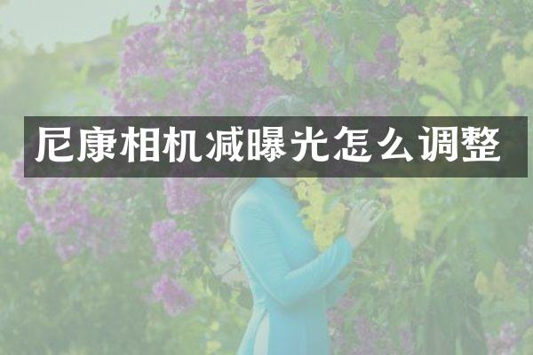 尼康相机减曝光怎么调整