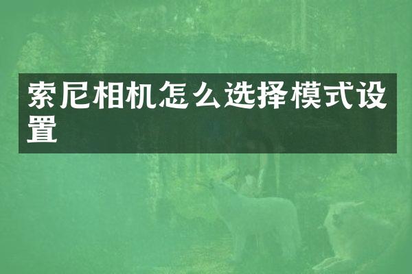 索尼相机怎么选择模式设置