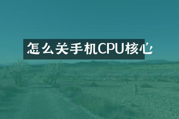 怎么关手机CPU核心