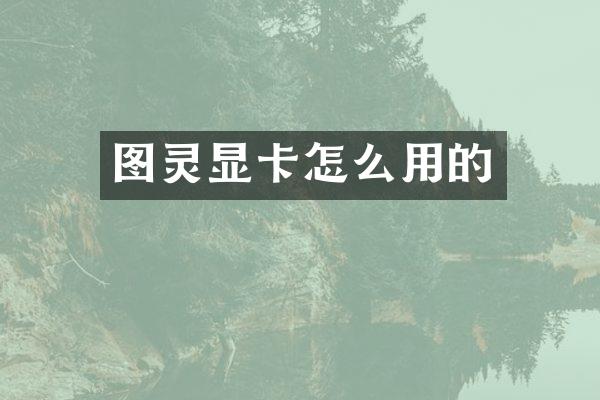 图灵显卡怎么用的