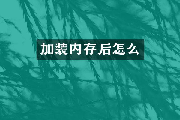 加装内存后怎么