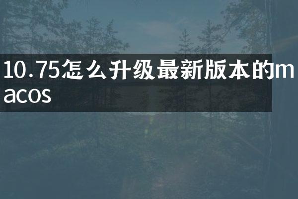 10.75怎么升级最新版本的macos