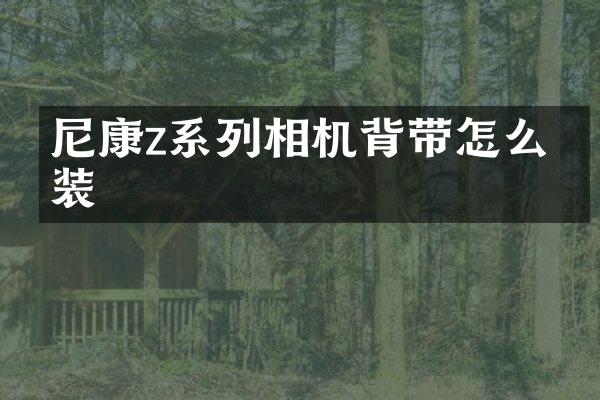 尼康z系列相机背带怎么安装