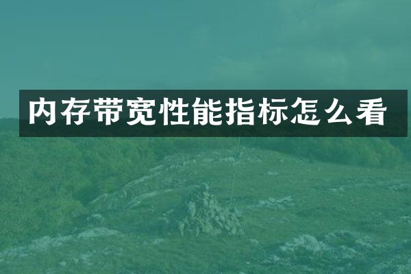 内存带宽性能指标怎么看