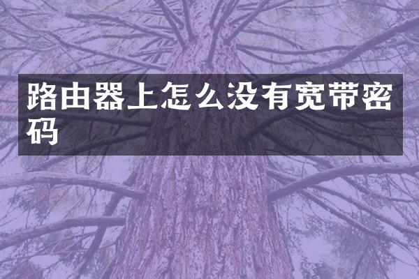 路由器上怎么没有宽带密码