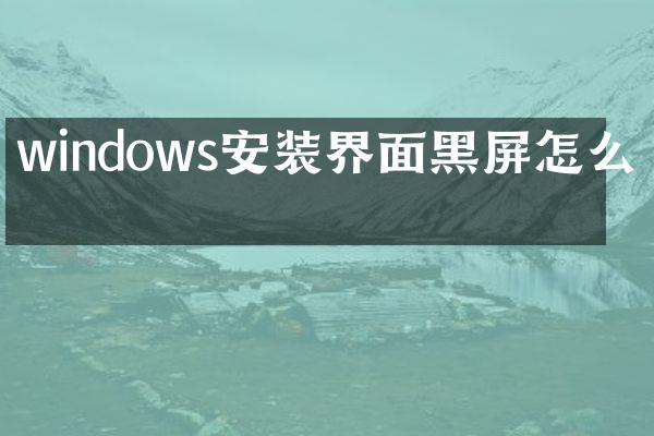 windows安装界面黑屏怎么办