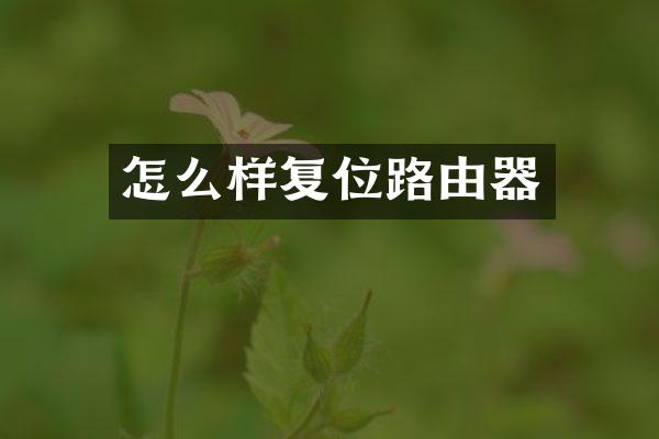 怎么样复位路由器