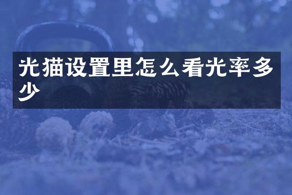 光猫设置里怎么看光率多少