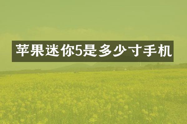 苹果迷你5是多少寸手机